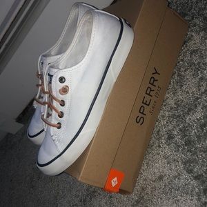 sperry top sider pier wave